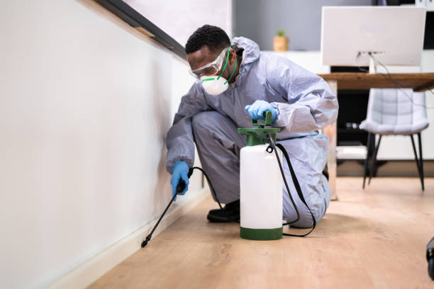 Best Bed Bug Extermination  in Aberdeen, OH